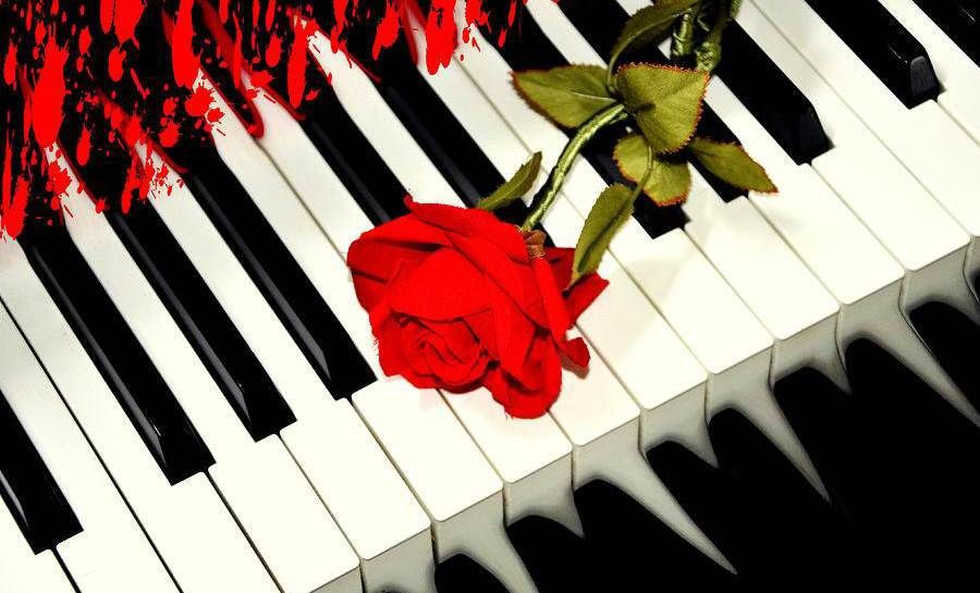 Bath spa creative writing ma reviews image