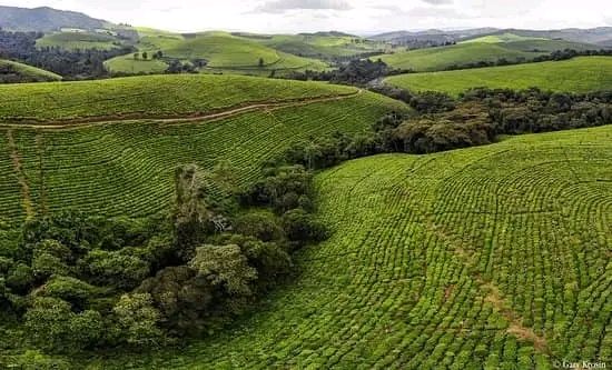 Emile Bimenyimana's post on Goodwall The photo lets your eye travel