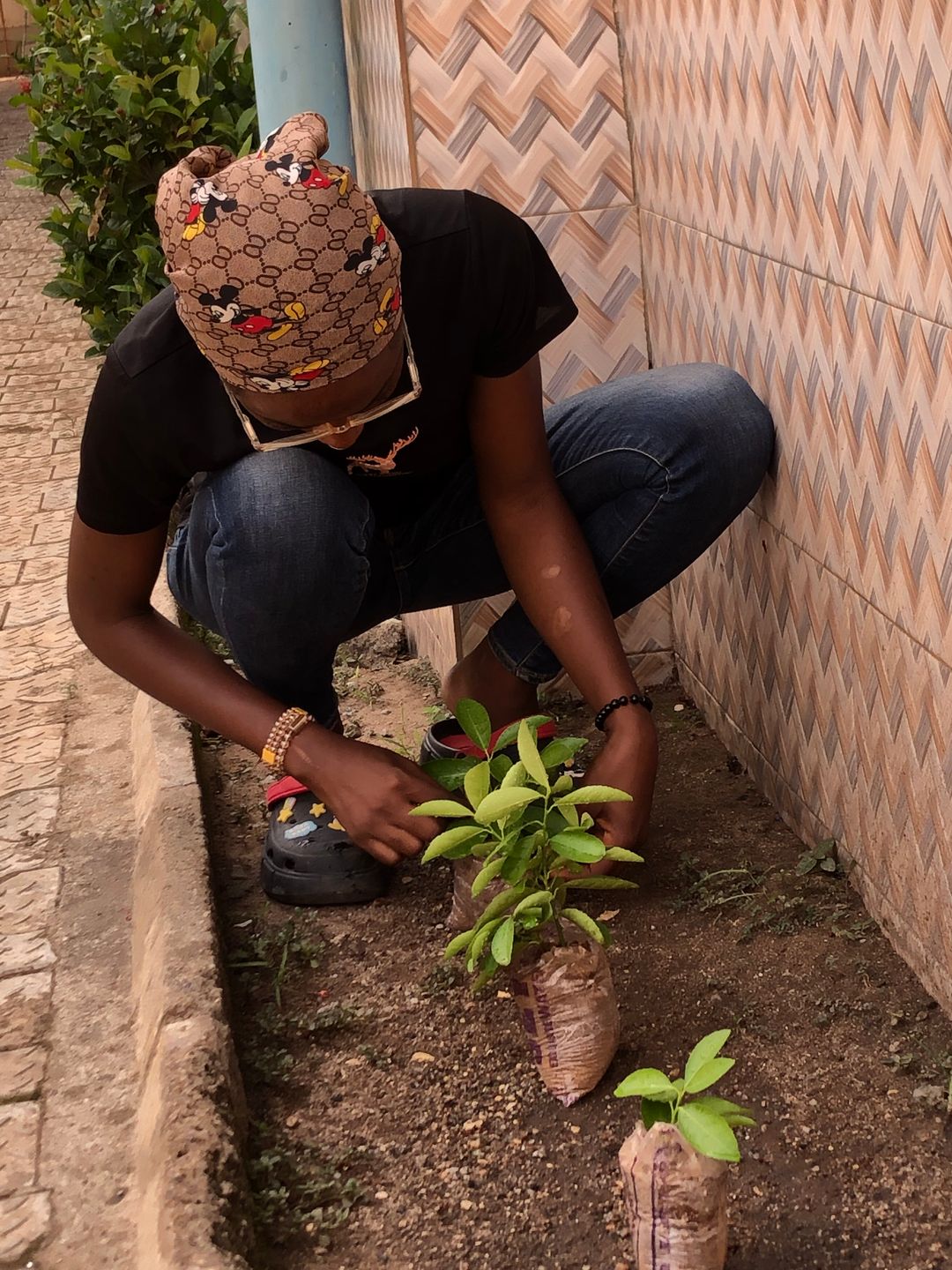 Happiness Ojone Daniel's post on Goodwall - #PlantATree Planting an ...