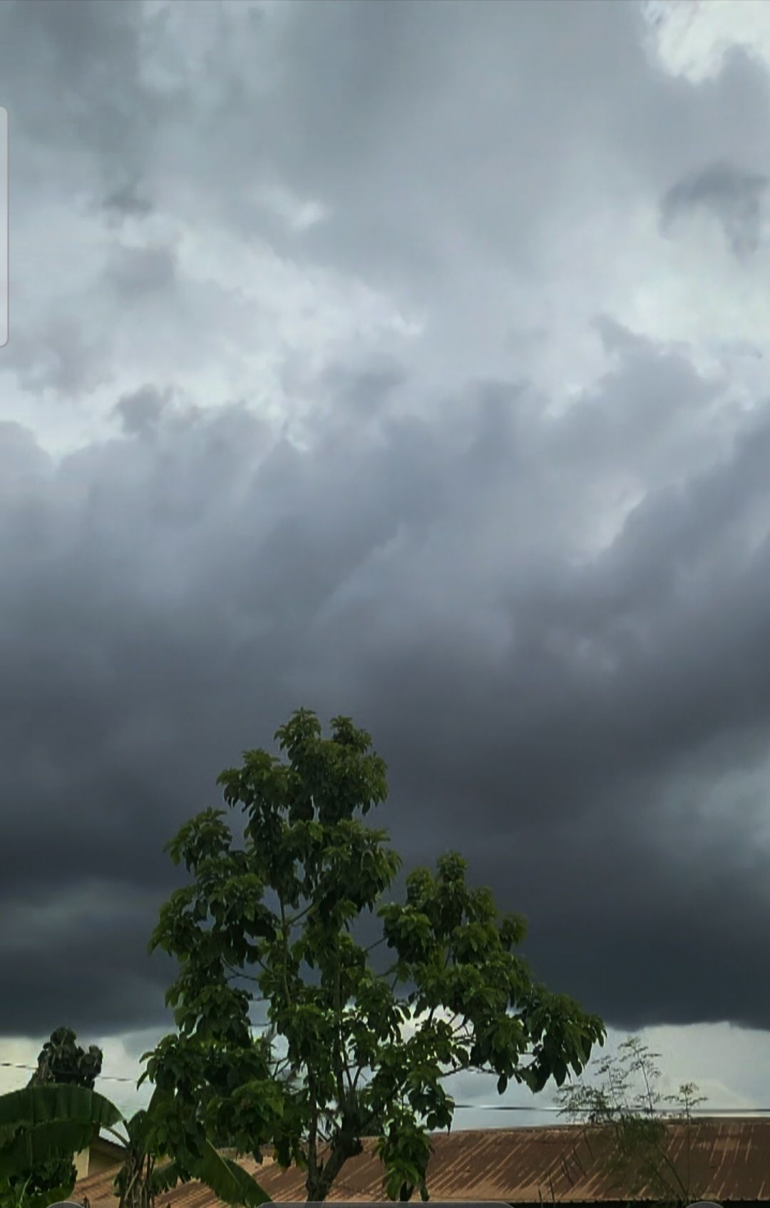 The Night the Sky Held Its Breath