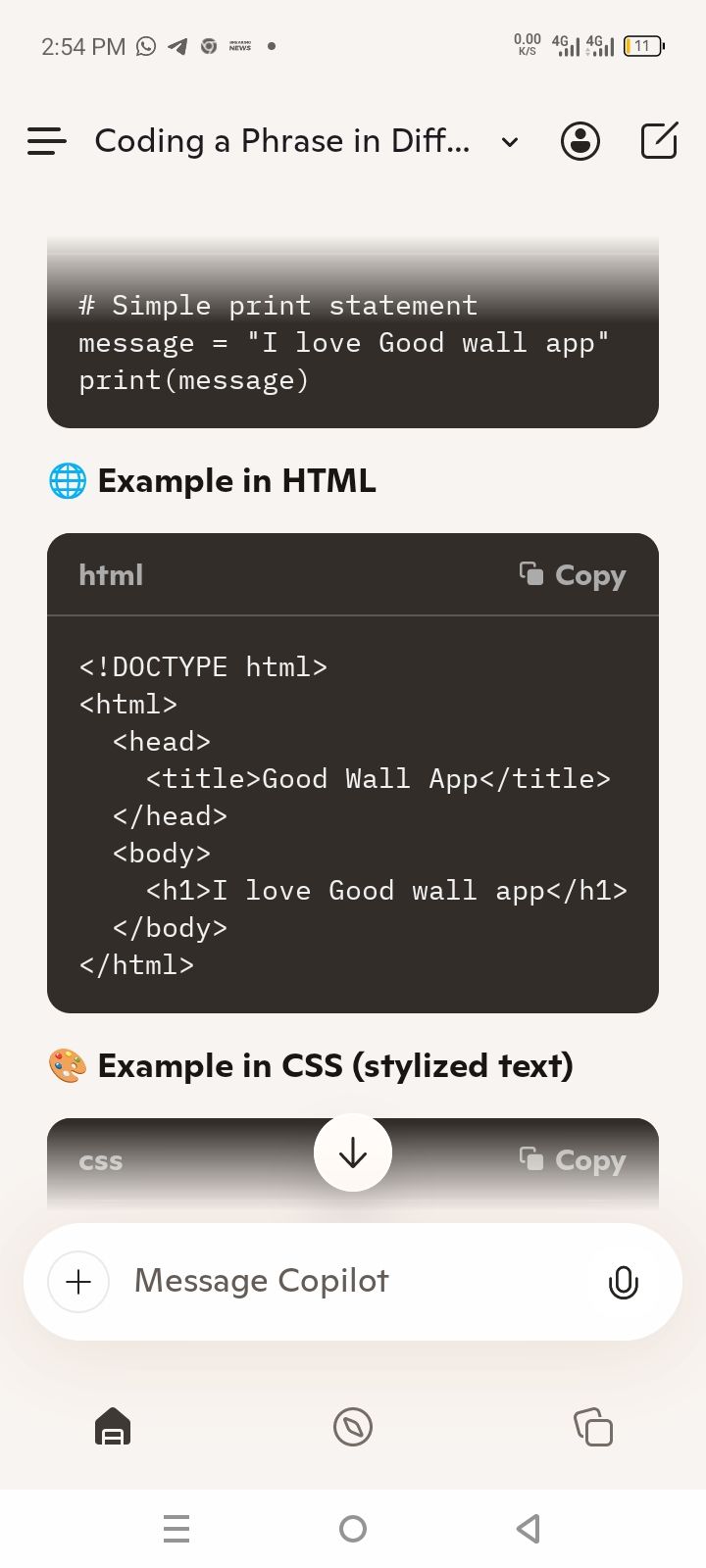 Fortune Willie's post on Goodwall - This is my first coding with ...
