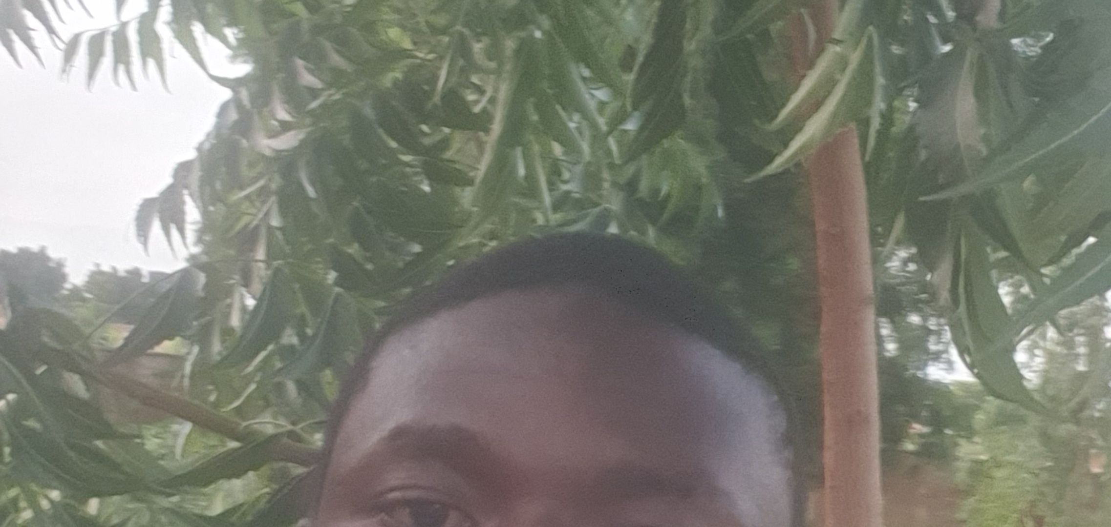 Usman Umar's post on Goodwall - Today, I planted a Neem tree—small in ...