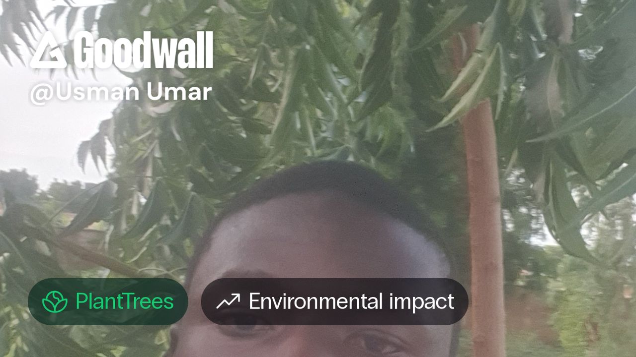 Usman Umar's post on Goodwall - Today, I planted a Neem treeβsmall in ...