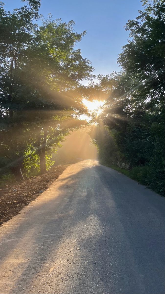 Ember Johnson's post on Goodwall - This photo is my favorite because it ...