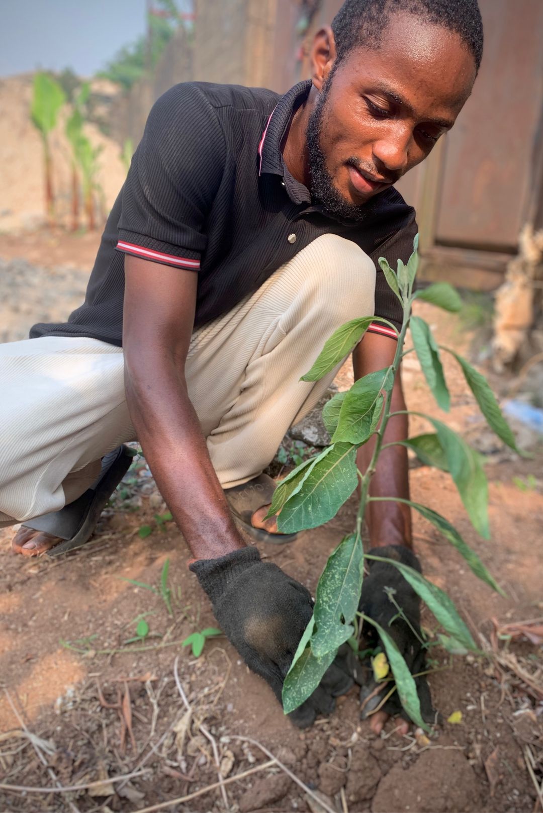 Obasi Chibueze Joshua's post on Goodwall - 🌴 I’m thrilled to share that ...