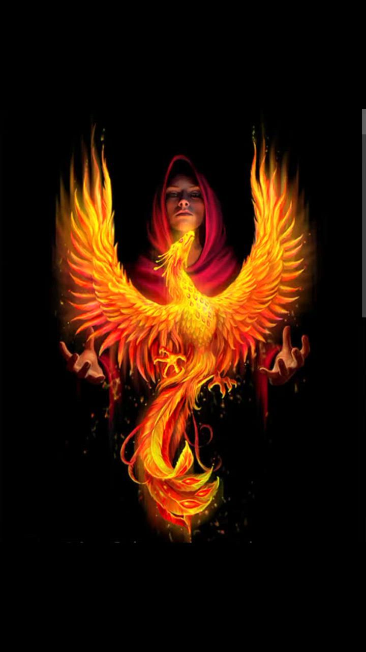John Lloyd's post on Goodwall - Meet the Modern Day's Phoenix that ...