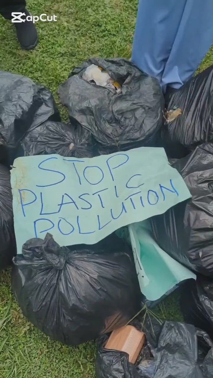 Maryam Ibrahim's post on Goodwall - Plastic pollution isn't just about ...